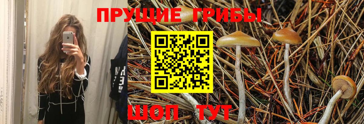 Галлюциногенные грибы GOLDEN TEACHER  Вход с VPN  Урюпинск 